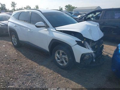 KM8JBCDE8RU****** 2024 Hyundai Tucson