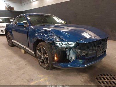 1FA6P8TH4R5****** 2024 Ford Mustang