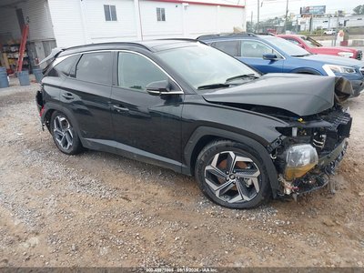 KM8JECD16RU****** 2024 Hyundai Tucson Hybrid