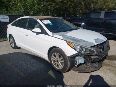 5NPE24AFXGH****** 2016 Hyundai Sonata