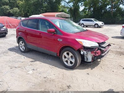 1FMCU0G97DU****** 2013 Ford Escape
