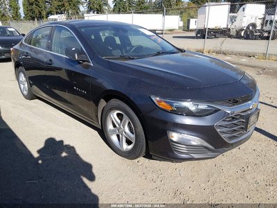 1G1ZB5ST7PF****** 2023 Chevrolet Malibu