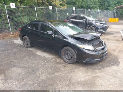 19XFB2F51DE****** 2013 Honda Civic