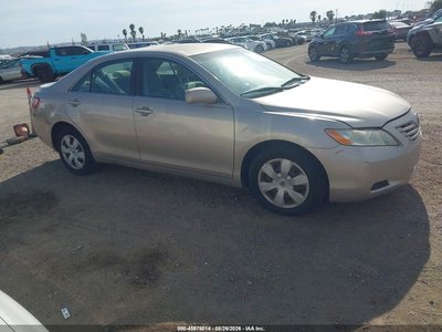 4T4BE46K69R****** 2009 Toyota Camry