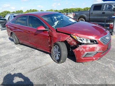 5NPE24AF7GH****** 2016 Hyundai Sonata