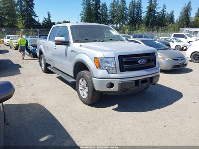 1FTFW1EF7DF****** 2013 Ford F-150