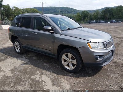 1J4NF1FB5BD****** 2011 Jeep Compass
