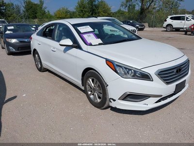 5NPE24AF2GH****** 2016 Hyundai Sonata