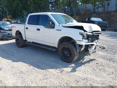 1FTEW1E53KF****** 2019 Ford F-150