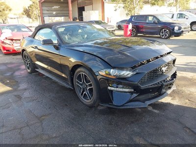 1FATP8UH2P5****** 2023 Ford Mustang