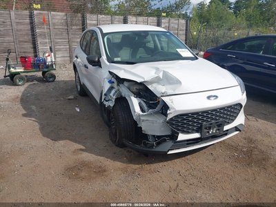 1FMCU0F64MU****** 2021 Ford Escape