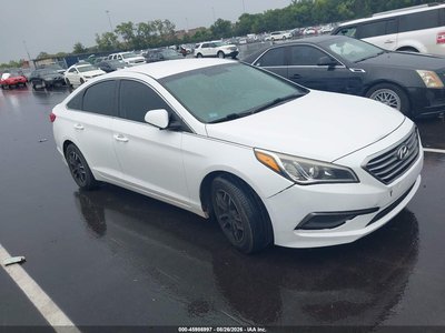 5NPE24AF1GH****** 2016 Hyundai Sonata