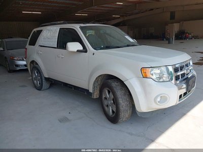 1FMCU04G19K****** 2009 Ford Escape