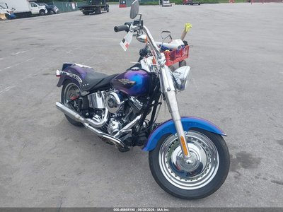 2010 Harley-Davidson FLSTF