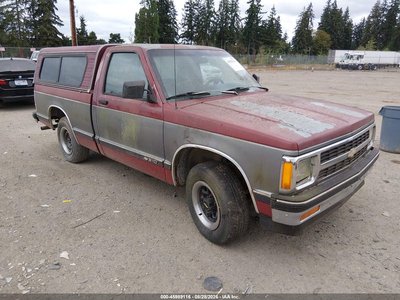 1GCCS14R4M8****** 1991 Chevrolet S-10