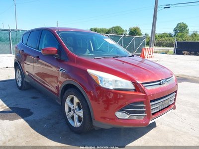 1FMCU0GX9EU****** 2014 Ford Escape
