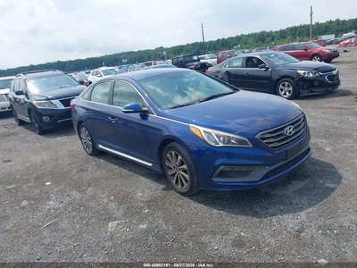 5NPE34AF8GH****** 2016 Hyundai Sonata