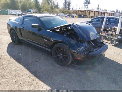1ZVBP8CF2D5****** 2013 Ford Mustang