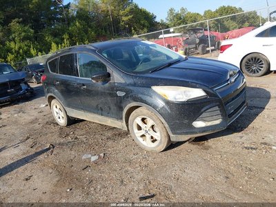 1FMCU0GX2EU****** 2014 Ford Escape