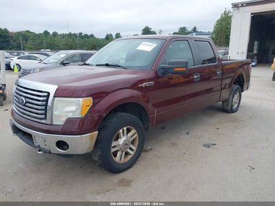 1FTFW1EV5AF****** 2010 Ford F-150