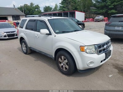 1FMCU9E77BK****** 2011 Ford Escape