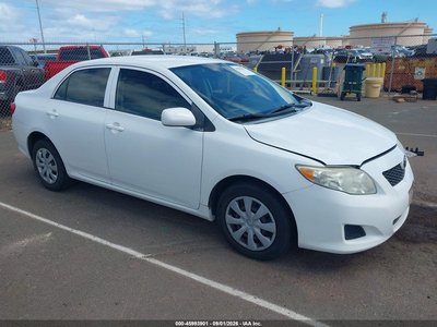 1NXBU40E19Z****** 2009 Toyota Corolla