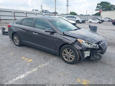 5NPE24AF9GH****** 2016 Hyundai Sonata