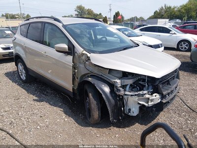 1FMCU0GD7HU****** 2017 Ford Escape