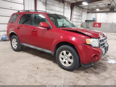 1FMCU0EG7BK****** 2011 Ford Escape