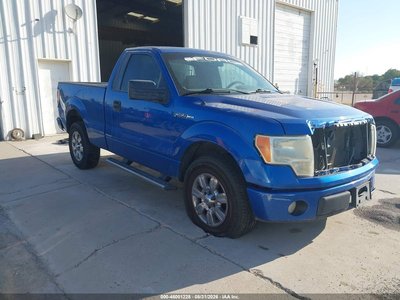1FTRF12W19K****** 2009 Ford F-150