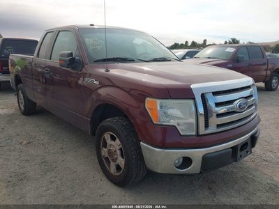 1FTEX1C84AK****** 2010 Ford F-150