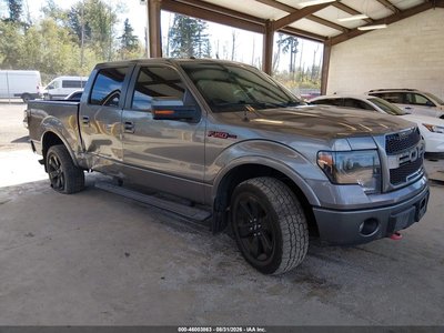 1FTFW1EF3DF****** 2013 Ford F-150