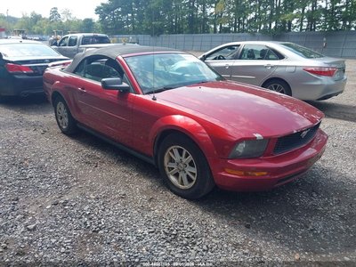 1ZVFT84N165****** 2006 Ford Mustang