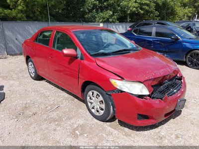 1NXBU4EE9AZ****** 2010 Toyota Corolla