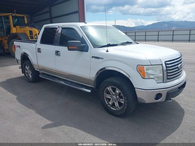 2010 Ford F-150