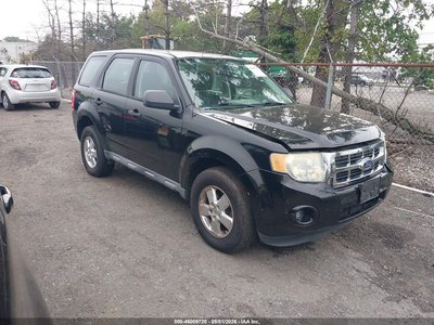 2010 Ford Escape