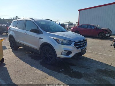 1FMCU9GD2KU****** 2019 Ford Escape