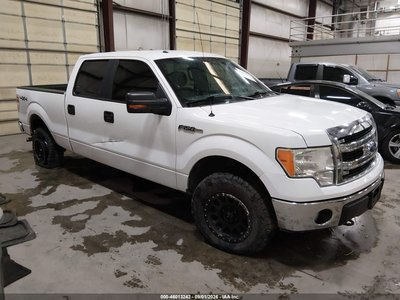 1FTFW1EF5DF****** 2013 Ford F-150