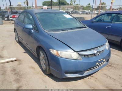 19XFA1F51AE****** 2010 Honda Civic