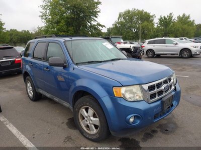 2010 Ford Escape