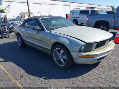 1ZVFT84N765****** 2006 Ford Mustang