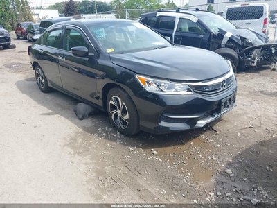 1HGCR2F31HA****** 2017 Honda Accord