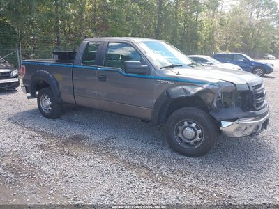 1FTEX1EM0DF****** 2013 Ford F-150