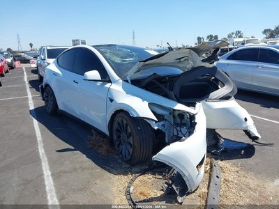 7SAYGDEF3SF****** 2025 Tesla Model Y