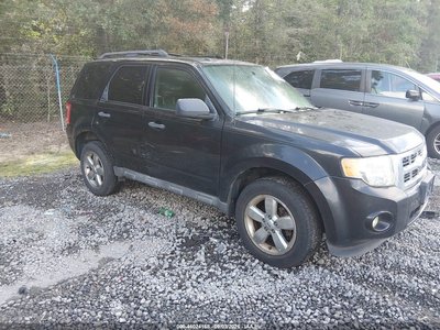 2011 Ford Escape