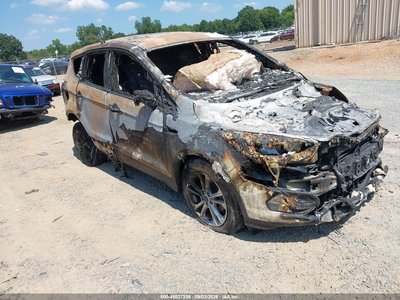 1FMCU0GD0KU****** 2019 Ford Escape
