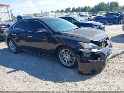 1N4AA5AP5AC****** 2010 Nissan Maxima