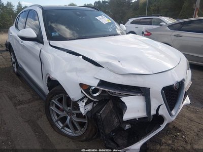 ZASPAKBNXK7****** 2019 Alfa Romeo Stelvio