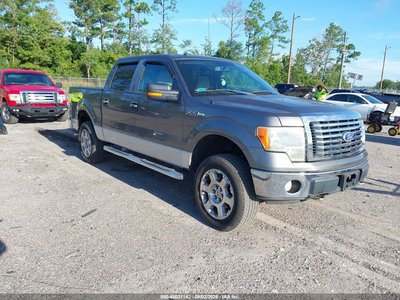 1FTFW1EV1AF****** 2010 Ford F-150