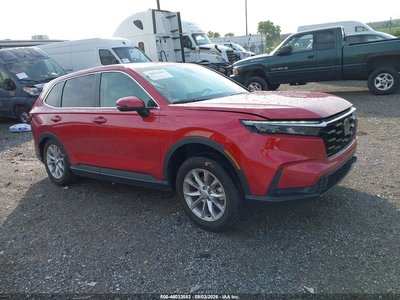 2HKRS4H74RH****** 2024 Honda CR-V